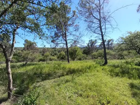 Terreno en Venta de 805,0 m2