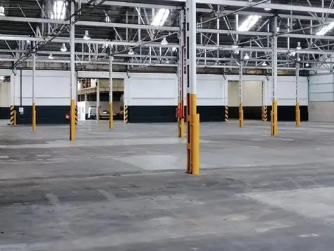 Manuel Ocampo al 1100