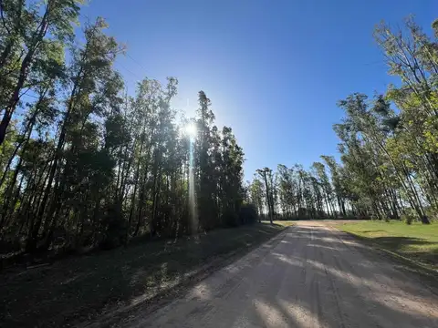 Terreno en Venta en El Paraiso, USD 100.000