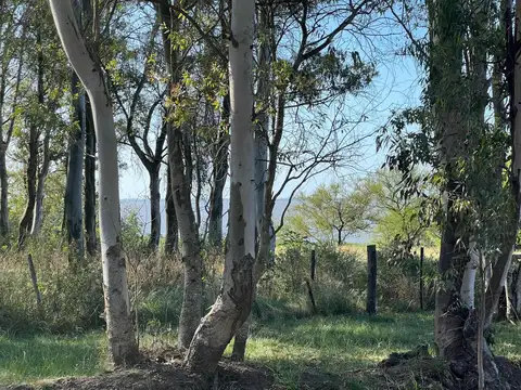 Estancia Estrella Federal