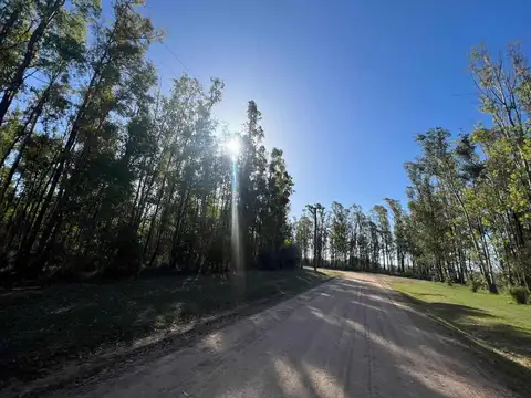Estancia Estrella Federal