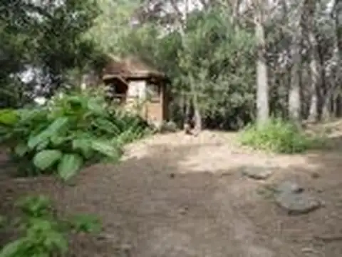 40 e/Punta del este y Copacabana