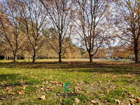 Terreno en Venta de 300,0 m2