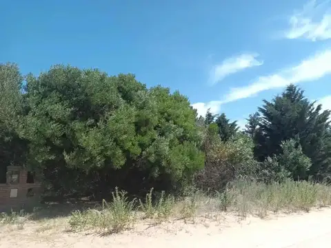 Terreno en Venta de 1000,0 m2