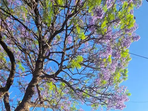 Depto Tipo Casa en Venta A Estrenar