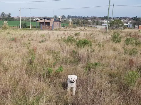 Terreno en Venta 30  mts Fondo