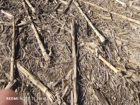 SE VENDE CAMPO AGRICOLA 23,3HAS PAMPAYASTA NORTE