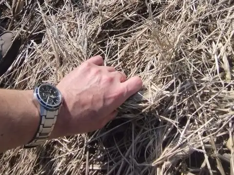 SE VENDE CAMPO AGRICOLA 23,3HAS PAMPAYASTA NORTE