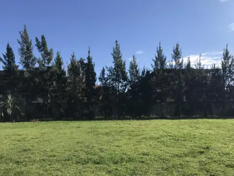 Terreno en Venta 36  mts Fondo