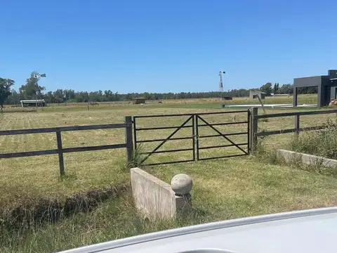 El Viraro y Benteveo