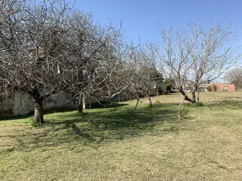 Terreno en Venta 23  mts Fondo