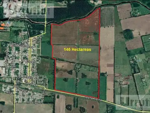 CAMPO de 146 hectareas  IDEAL DESARROLLO URBANISTICO