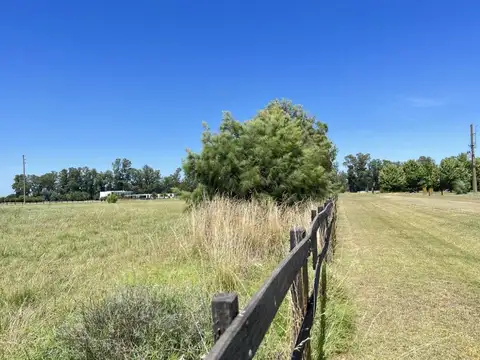 Chacra en venta en Santa Maria de Lobos Club de Polo, Lobos, Provincia de Buenos Aires