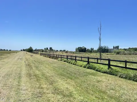 Santa Maria de Lobos Club de Polo, Lobos, Provincia de Buenos Aires