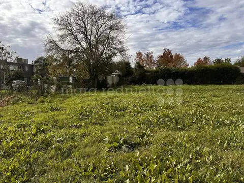 venta de lote pròximo a la laguna de Chascomùs.