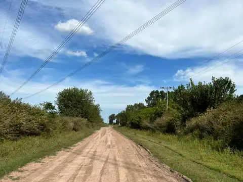 Terreno en Venta de 800,0 m2