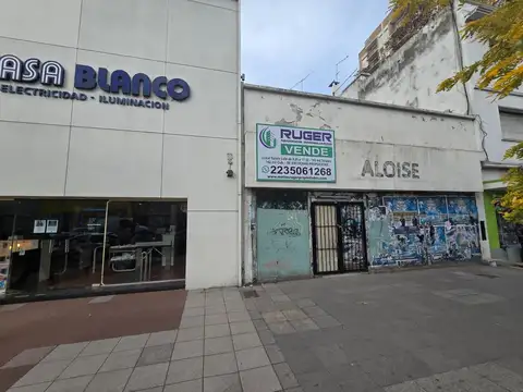 VENTA DE LOCAL SOBRE AV. INDEPENDENCIA