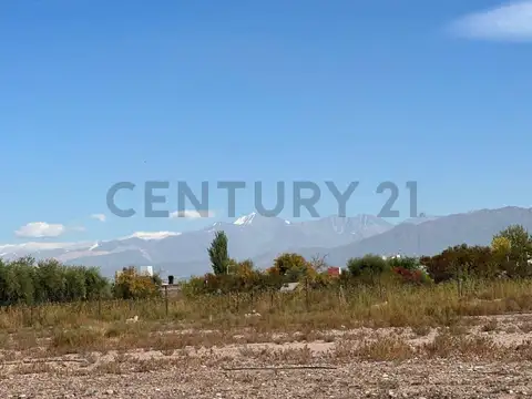 Terreno en Venta en Lujan De Cuyo, USD 28.000