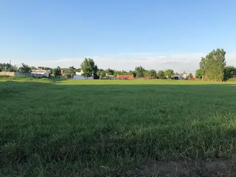 Mocovies entre  Tunuyán y Rio Gallegos