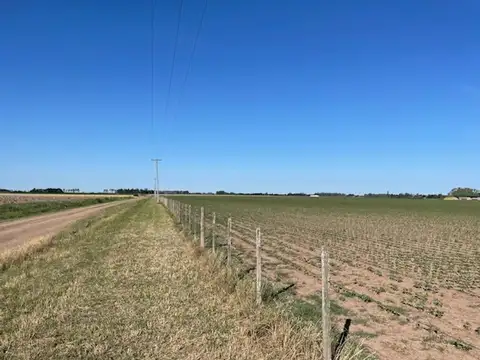 Campo de excelente calidad de suelos sin desperdicios.
