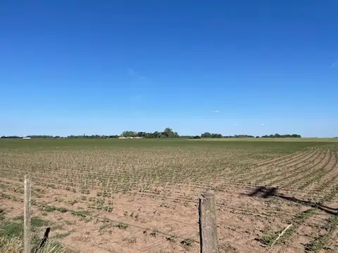 Campo de excelente calidad de suelos sin desperdicios.