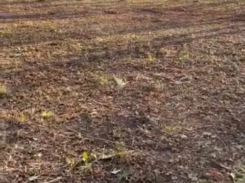 Oportunidad de Inversión: Dos Parcelas sobre Av. 66 – 34.286 m² Totales