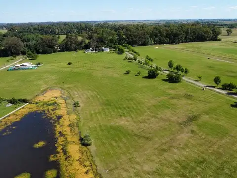 Lote 4.900m2 en VENTA Est. Villa María "Los Silos"