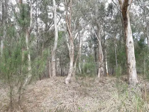 TUCUMAN Y CALLE 7 , Piso -