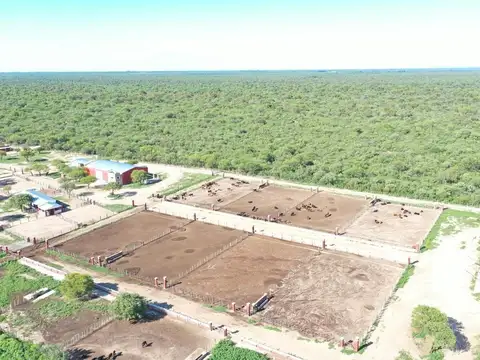Campo 123 ha Feedlot Villa de Soto