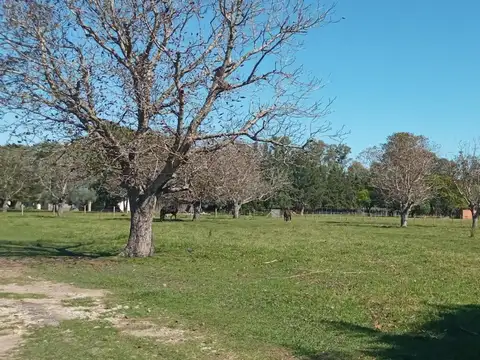 Terreno en Venta en San Andres De Giles, USD 79.000