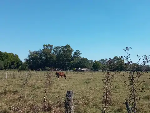 Campo En Barrio El  Candil 01