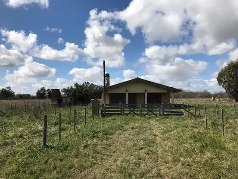 CAMPO 25 HAS. - ZONA URBANA - PARA DESARROLLO INMOBILIARIO - LOBOS