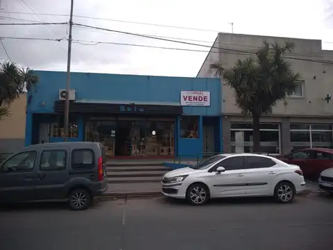 Av. Jacinto Peralta Ramos y Puán