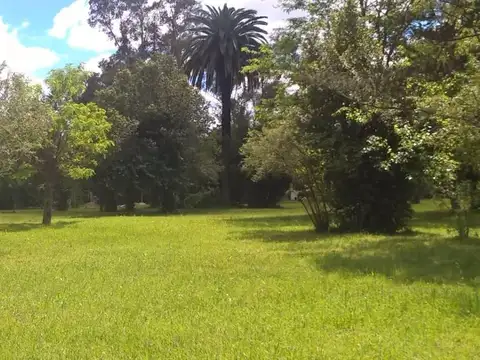 Terreno en Venta de 470,0 m2