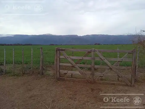Venta Excelente Campo Agricola- Ganadero  de 737 has, Cortaderas, San Luis- Financiamiento