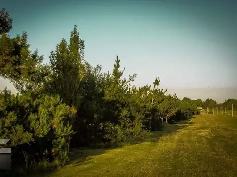 Lomas del Golf - Club de Campo