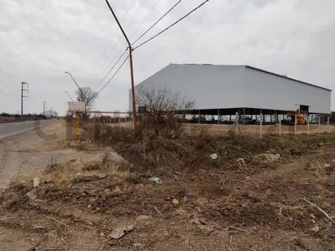 Galpon en Alquiler 2024 años