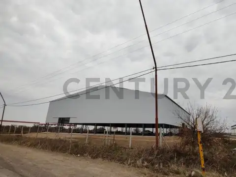 Galpon en Alquiler en Alvear, $ 4.800.000