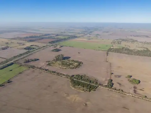 42 has de Campo Agrícola en Arroyo Aguiar