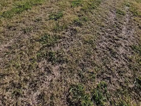 Terreno en Venta de 1164,0 m2