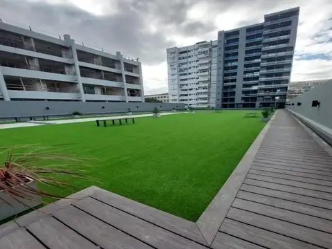 Pellegrini 1971 - SS1-69