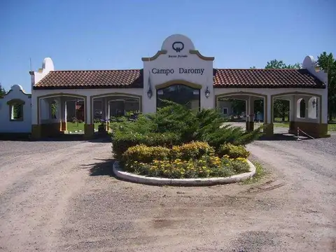 Campo Daromy