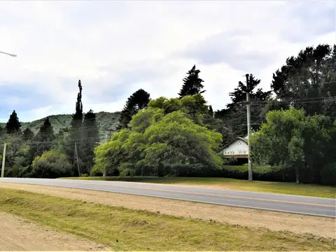 Río Rhin Y Ruta 5 100