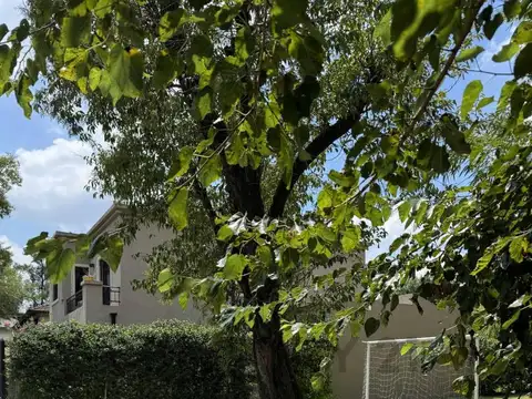 Arroyo y san juan , Piso 0