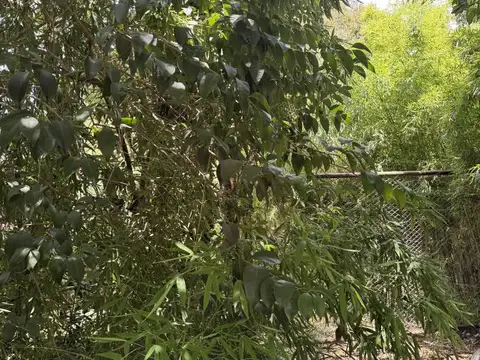 Venta de lote en Bella Vista