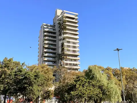 Olive al 900 Rio Arriba.