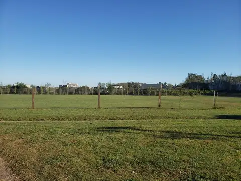 Hipolito Irigoyen 1250