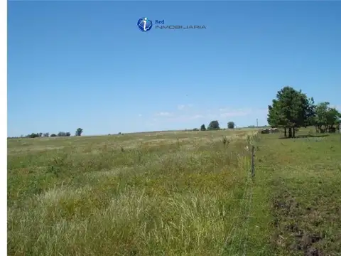 En venta 84 has agrícolas 100% Colonia el potrero