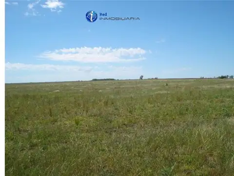 En venta 84 has agrícolas 100% Colonia el potrero