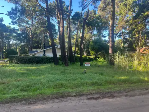 Terreno en Venta 20  mts Fondo